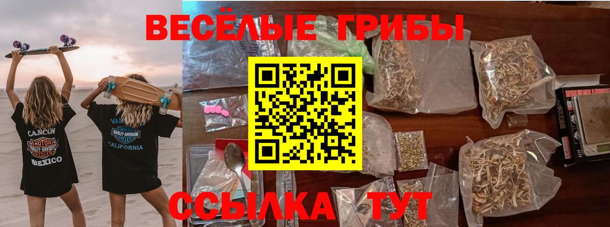 хочу наркоту  Псилоцибиновые грибы мицелий  Вход с VPN  Лангепас 