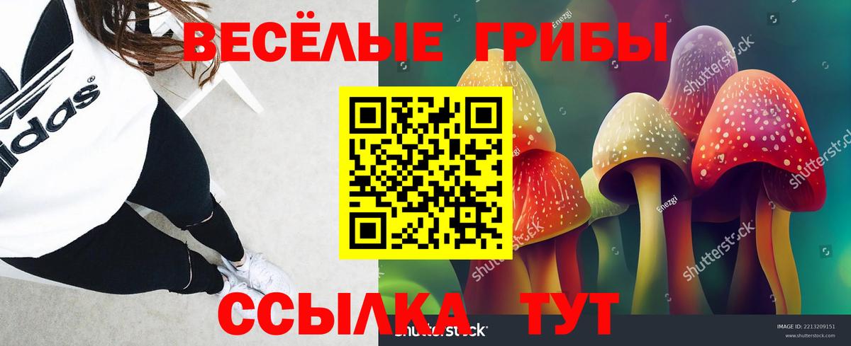 Галлюциногенные грибы Psilocybine cubensis Лангепас